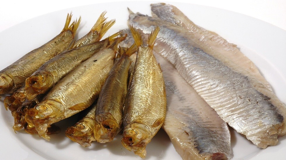 طبيب يكشف الفوائد الصحية لسمك الرنجة