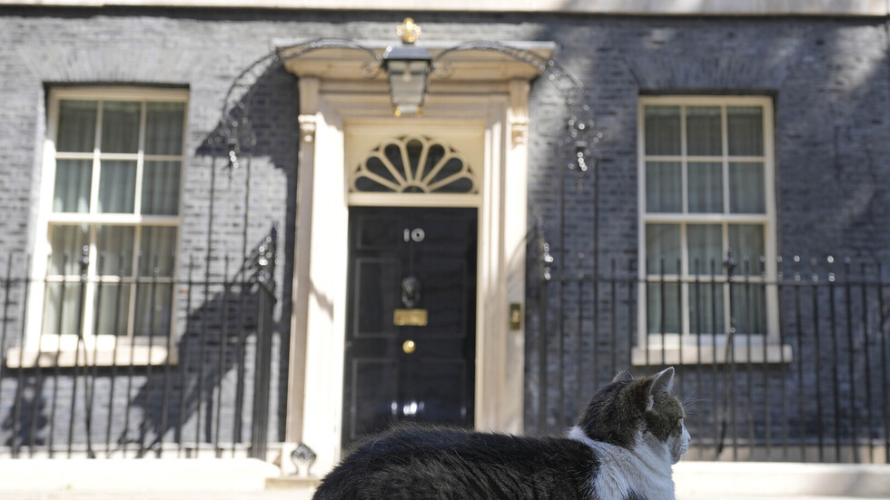 أول تعليق من القط لاري على نجاح سوناك في حسم سباق رئاسة وزراء بريطانيا (فيديو)