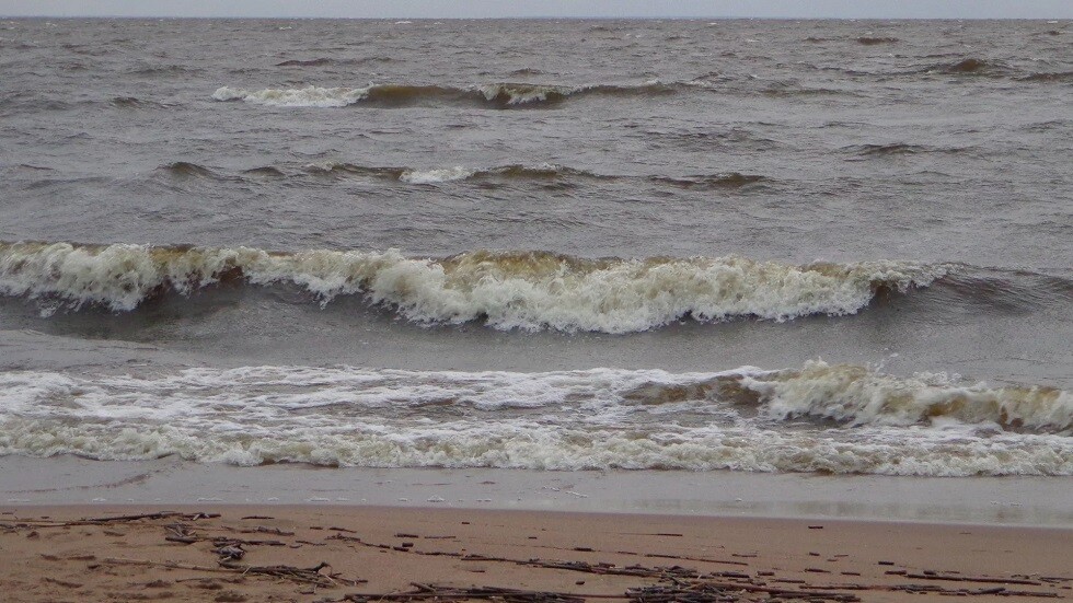 فنلندا تعلن تسجيل 4 هزات أرضية بقاع خليج فنلندا بالتزامن مع تسرب الغاز من "السيل الشمالي"