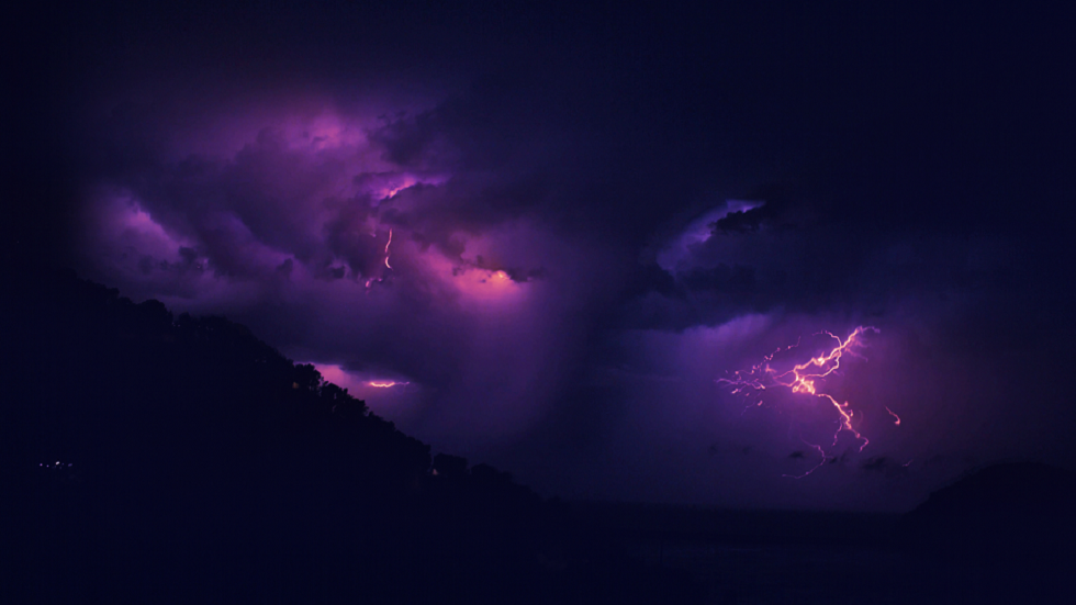 حلقات الأشجار تؤرخ عاصفة كونية غامضة تضرب الأرض كل ألف عام