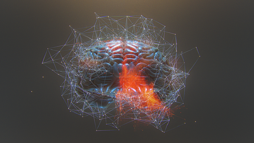 كيف يتتبع الدماغ البشري ترتيب الأحداث في تسلسل؟