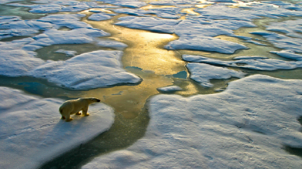 ما ينتظر البشرية إذا ما ارتفعت حرارة الأرض بمقدار 2.5 درجة؟