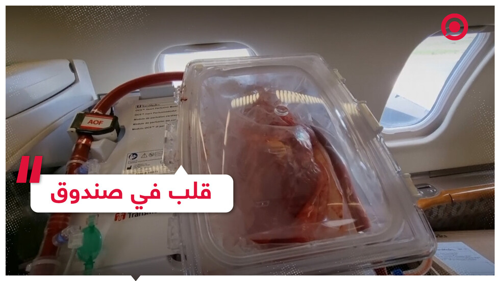 قلب ينبض داخل صندوق في رحلته لصدر مريض جديد