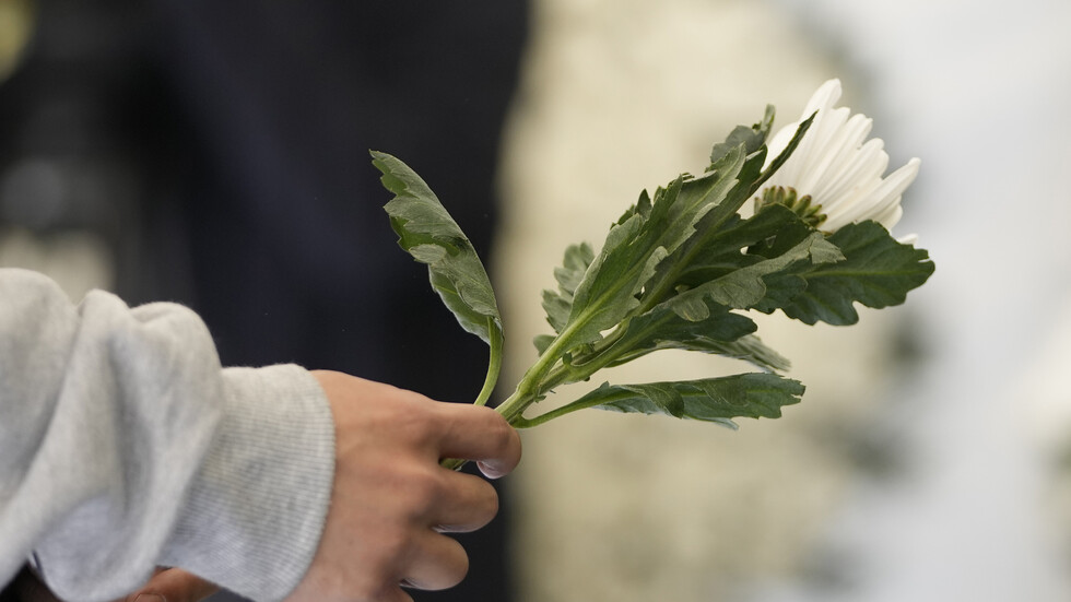 عيد الرعب استحق اسمه في كوريا الجنوبية.. شاهد على مأساة التدافع يكشف تفاصيل مروعة