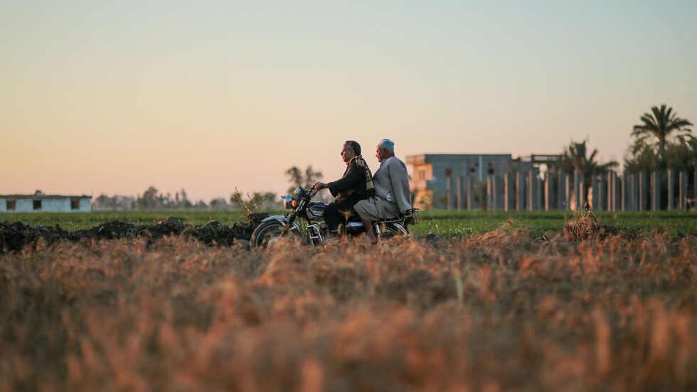 التموين المصرية: لا زيادة في أسعار الأرز أو أي سلعة مهما ارتفع الدولار