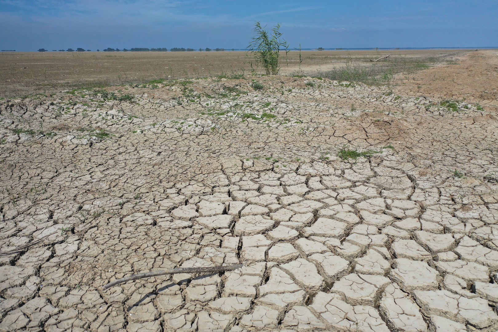 تقرير: التغير المناخي زاد من احتمالية جفاف 2022 نحو 20 مرة