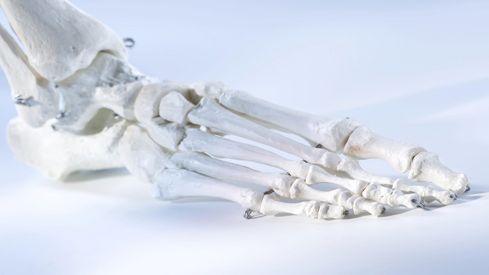 علماء روس يبتكرون مادة تسرع إصلاح العظام