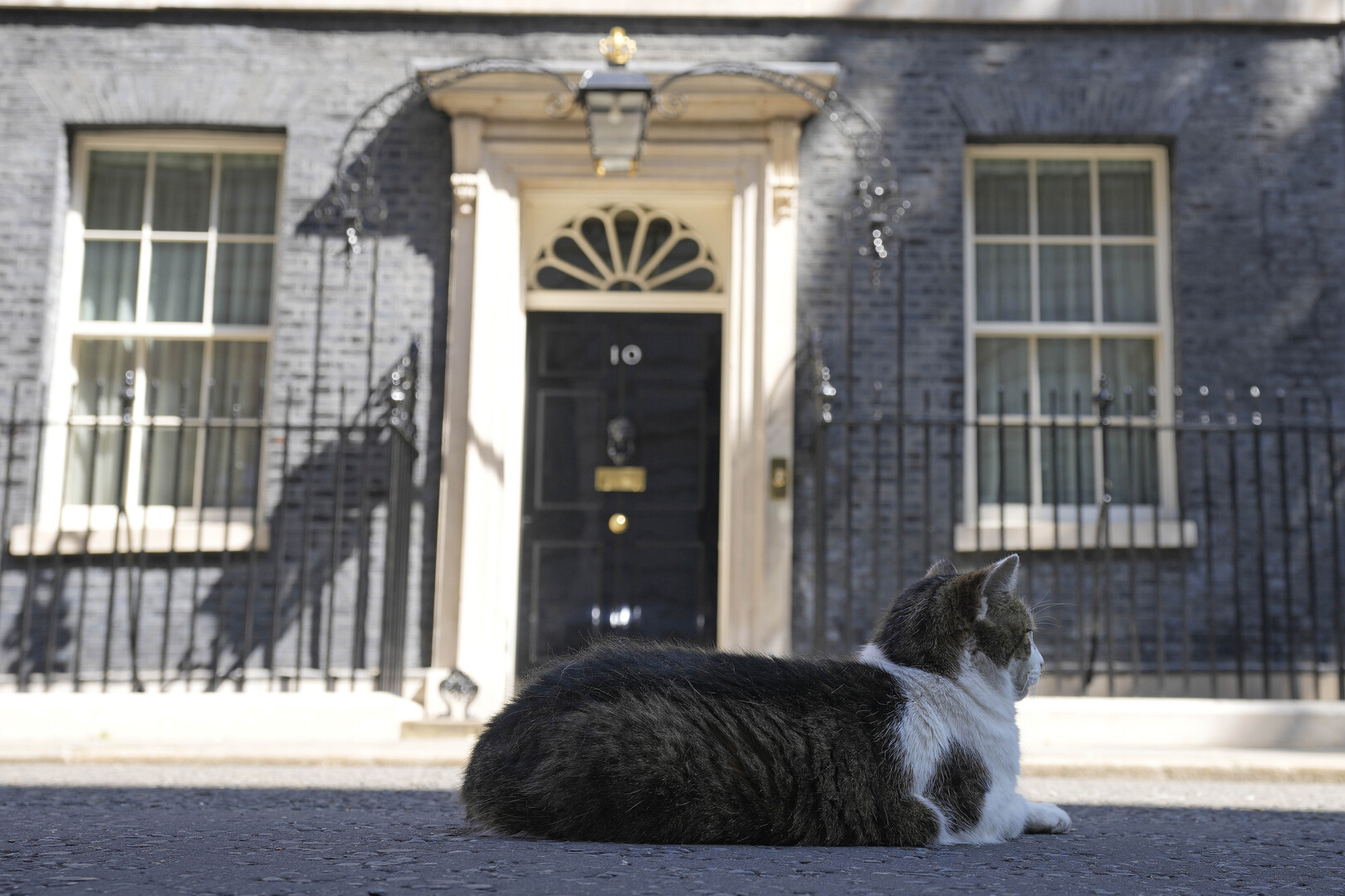 أول تعليق من القط لاري على نجاح سوناك في حسم سباق رئاسة وزراء بريطانيا (فيديو)