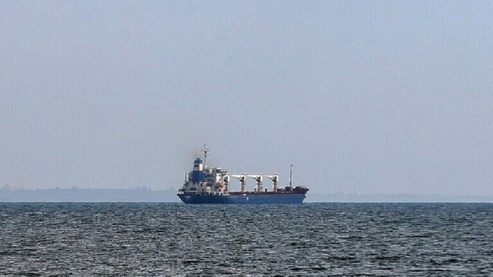 كييف تعلن عن حظر حركة 218 سفينة مشاركة في صفقة الحبوب