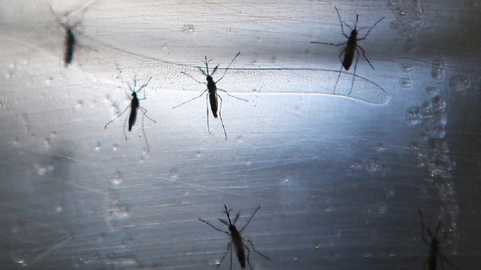 دير شبيغل تتحدث عن مرض مداري خطير ينتشر في ألمانيا!