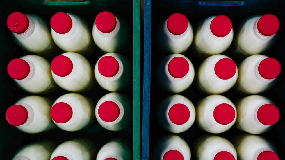 السعودية توسع قائمة الموردين المعتمدين للأغنام والألبان من روسيا