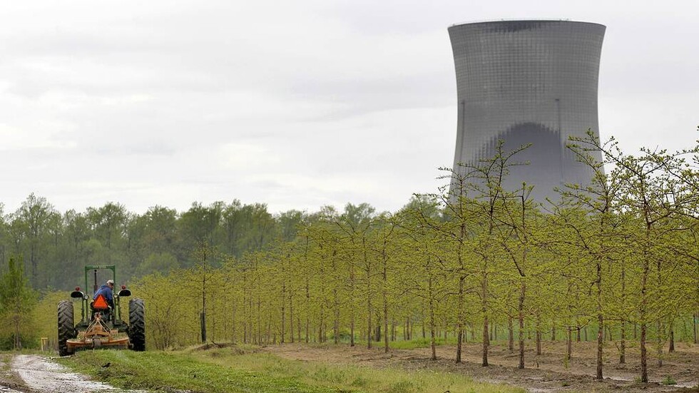 علماء المناخ يشككون بالخطط العالمية بشأن توسيع مساحة الغابات