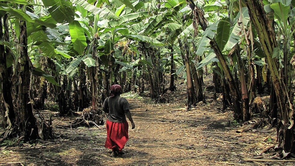 اكتشاف "قنبلة كربونية موقوتة" طبيعية على الأرض