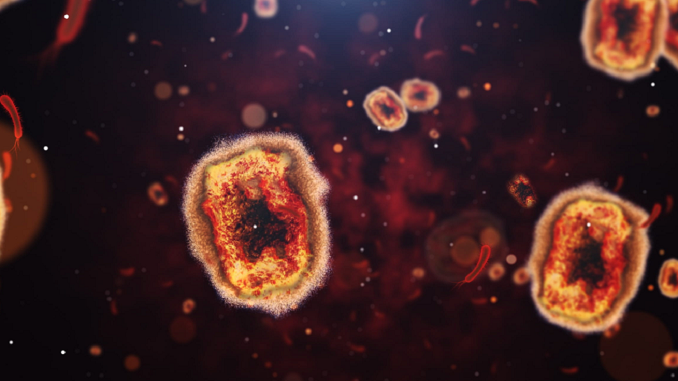 جدري القردة قد ينتقل من حامله قبل أربعة أيام من ظهور أعراضه