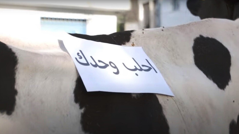 "احلب وحدك".. شاهد كيف رد صاحب محل في تونس على فقدان الحليب وإلحاح الزبائن على توفيره (فيديو)