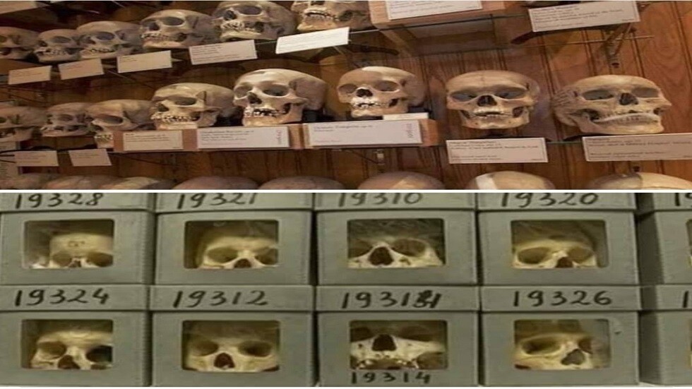 شهر واحد لتسليم جماجم المقاومين الجزائريين المختطفة في متاحف فرنسا