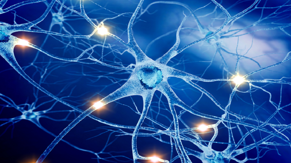 اختراق هام يمكّن أفرادا مصابين بالشلل التام من المشي مرة أخرى!