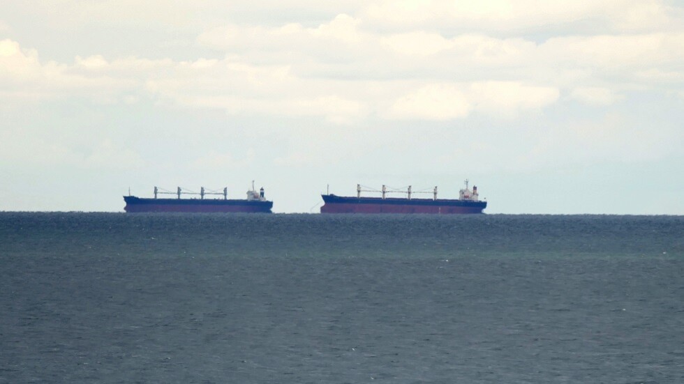 "صفقة الحبوب".. 8 سفن أغذية تبحر من الموانئ الأوكرانية يوم 13 نوفمبر