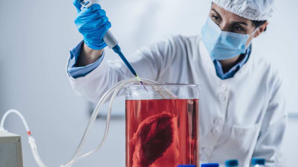 ثورة في صناعة الأغذية.. إدارة الغذاء الأمريكية تقر بأن اللحوم المزروعة في المختبر 