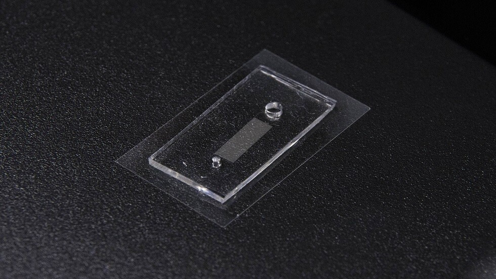 خصوبة الرجال في خطر