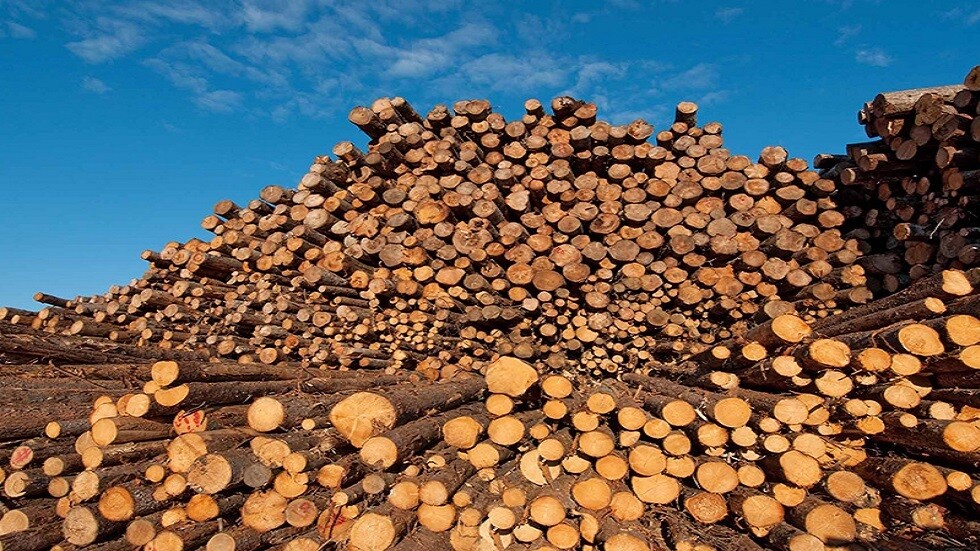 الحكومة الأوكرانية تحظر تصدير الحطب