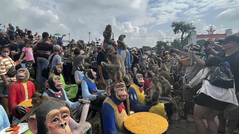 بالصور والفيديو.. مهرجان للاحتفاء بالقرود وسط تايلاند