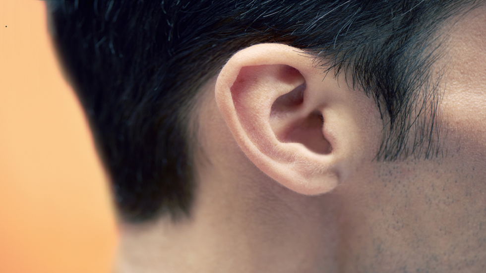 العلماء يجدون طريقة لتعزيز السمع البشري في المواقف الصاخبة!