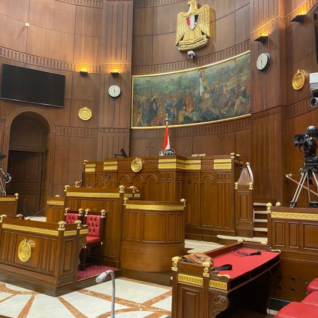 هل تقلص مصر بعثاتها الدبلوماسية في الخارج؟ - RT Arabic