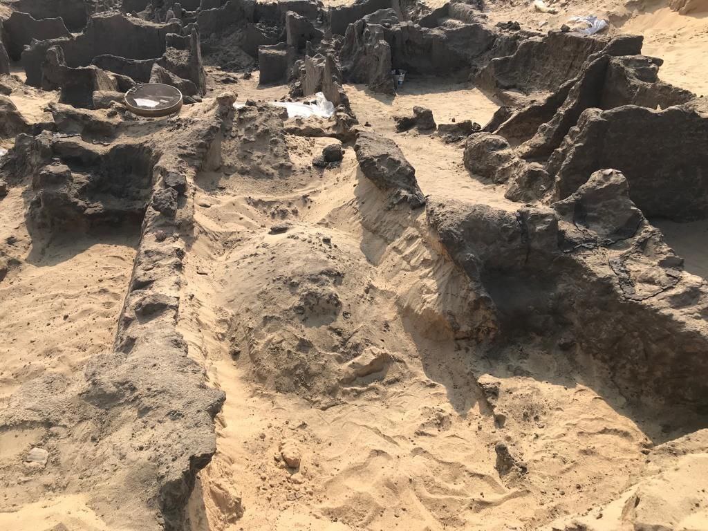 مصر.. الكشف عن مقابر ومدافن ومومياوات ذات ألسنة ذهبية بجبانة قويسنا الأثرية (صور)