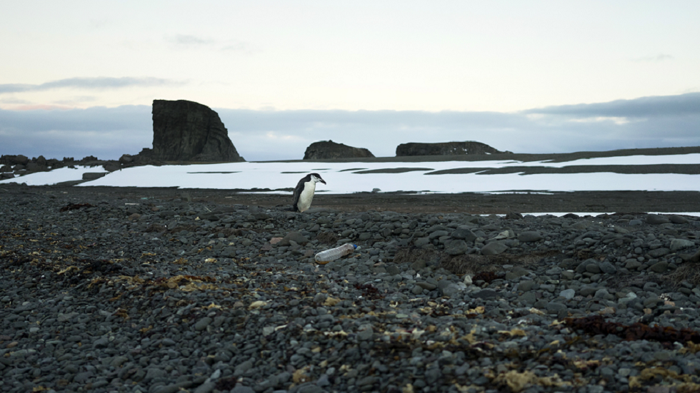 التلوث البلاستيكي في أنتاركتيكا أصبح سيئا كما في أي مكان آخر على الأرض!