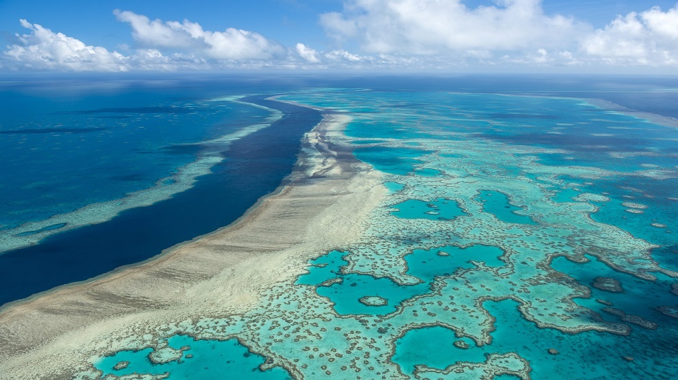 اليونسكو: يجب إدراج الحاجز المرجاني العظيم ضمن المواقع المهددة بالخطر