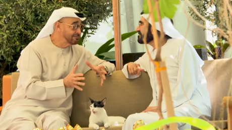 قطة تتوسط محمد بن زايد ومحمد بن راشد وتثير التساؤلات.. فما قصتها؟ (فيديو + صور)