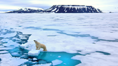 هل يأتي الوباء القادم من القطب الشمالي؟