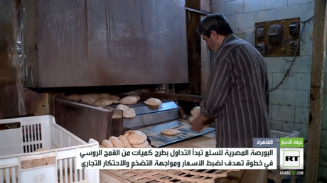 مصر.. بورصة السلع تبدأ التداول بطرح كميات من القمح الروسي