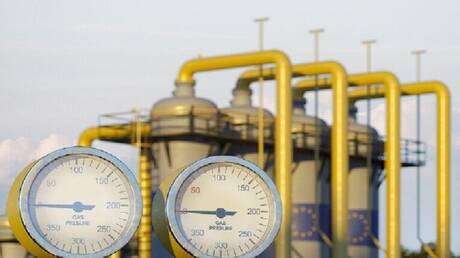 نائب ألماني: صفقة الغاز القطري لا تغطي 3% من احتياجات الدولة ولا تعد بديلا للغاز الروسي
