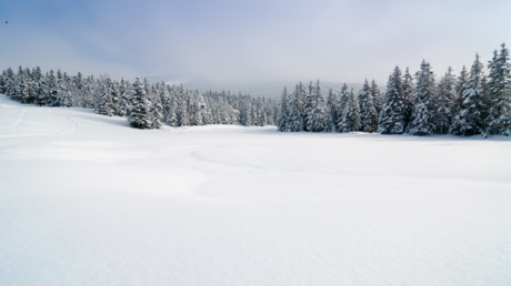 دراسة: مجرد قضاء الوقت في التمتع بالمناظر الطبيعية الثلجية يمكن أن يعزز تقييمك لوظائف جسمك!
