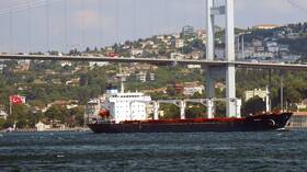 مصدر: سيتم تشديد تفتيش السفن المشاركة بصفقة الحبوب