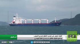 الخارجية الروسية تبلغ الاتحاد الأوروبي بضرورة التنفيذ الكامل لاتفاق الحبوب 4 الخارجية الروسية تبلغ الاتحاد الأوروبي بضرورة التنفيذ الكامل لاتفاق الحبوب