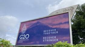 في قمة G20 بإندونيسيا.. روسيا ستؤكد استعدادها لتوفير الغذاء والطاقة لدول العالم 4 قبل انطلاق قمة G20.. إندونيسيا تشتكي من قلة العربات المدرعة للقادة