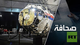 ماذا سيحدث بعد قرار محكمة لاهاي في قضية تحطم طائرة بوينغ MH17 فوق دونباس؟