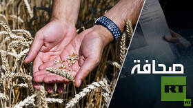 صفقة الحبوب تطرق بابا واحدا من جديد