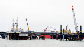 ألمانيا تعد إصلاحات لتسهيل الحصول على الجنسية 4 637c881142360445c9141dbd