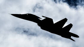 الجيش المصري يعلن سقوط إحدى مقاتلاته