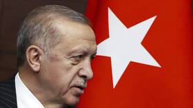 أردوغان: تركيا لها حق التصرف في المناطق التي حددتها خارج حدودها من أجل حماية أمنها
