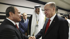 أردوغان: السيسي