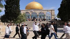 فليرحل العرب إلى روسيا!.. مستوطنون إسرائيليون يضايقون مراسلة فرانس 24 لأنها تكلمت العربية (فيديو)