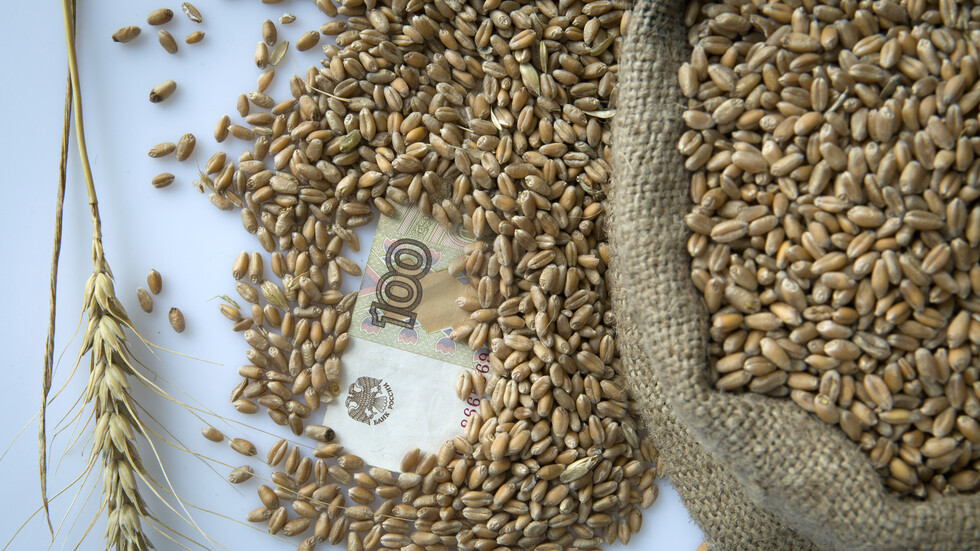 خلال محادثة تليفونية.. بوتين وشولتس يبحثان 