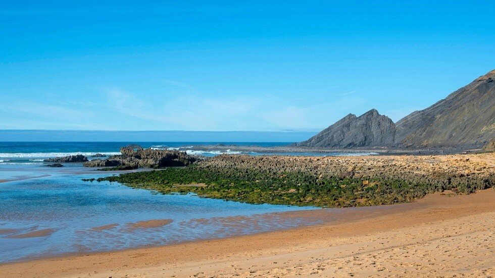 أقدم كائن على قيد الحياة يحتفل بعيد ميلاده الـ190