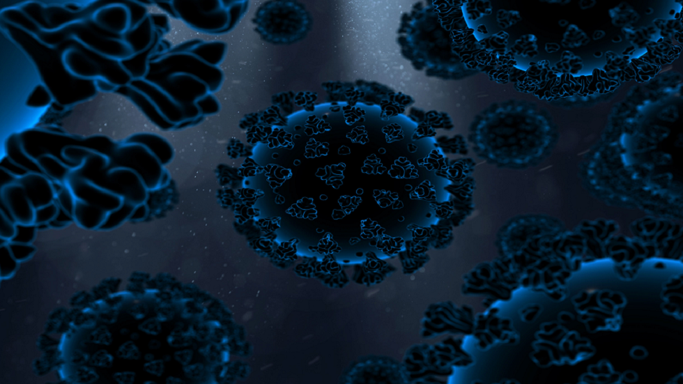 خبراء الصحة يحذرون من احتمال عيش فيروس كورونا على أطعمة شائعة لمدة أسبوع!