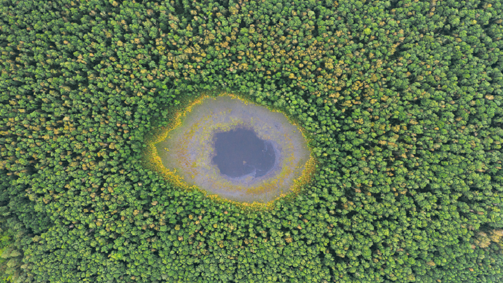 بحيرات صغيرة تستمر في النمو عبر الكوكب لتحدث مشكلة خطيرة!